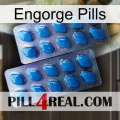 Engorge Pills viagra2